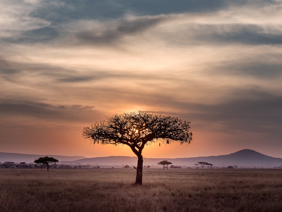 Paisaje de Angola